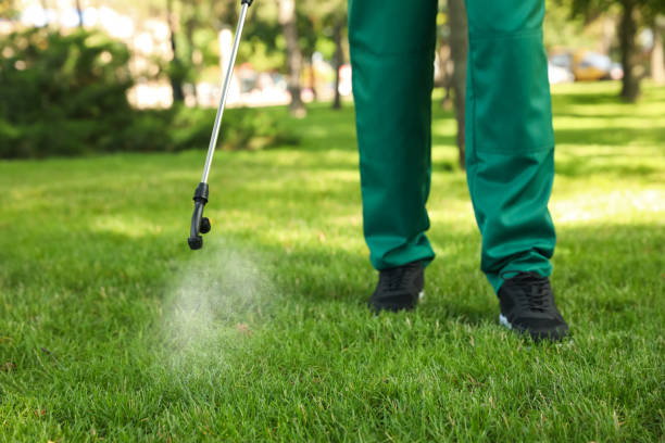 Trusted Montrose, VA Pest Control Experts