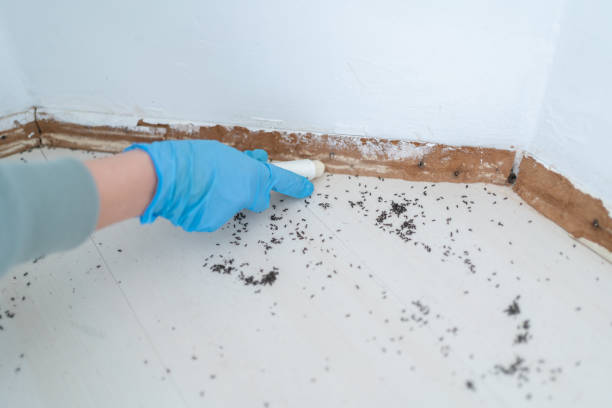 Best Wildlife Control Services  in Montrose, VA